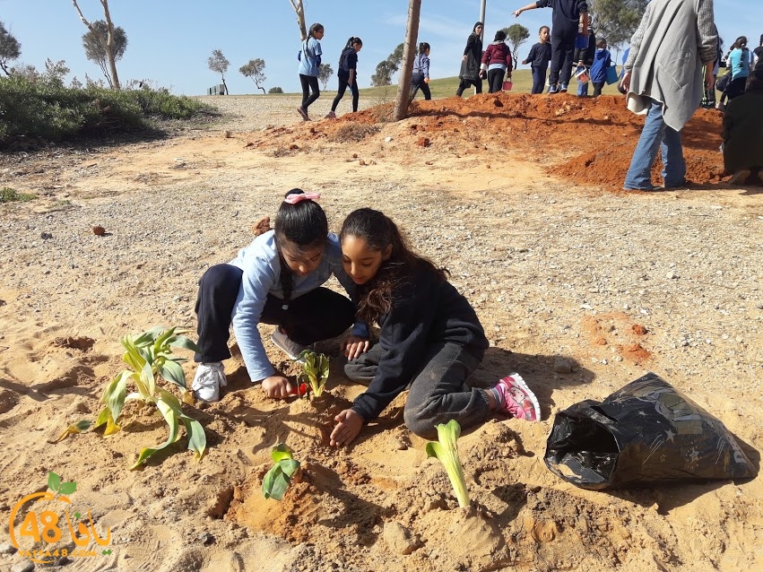 zr3 7san 3arafa (22).jpg